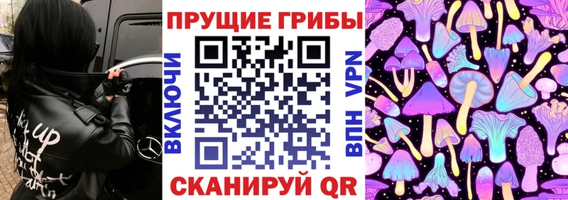 наркотики  blacksprut tor  Псилоцибиновые грибы ЛСД  Гудермес 