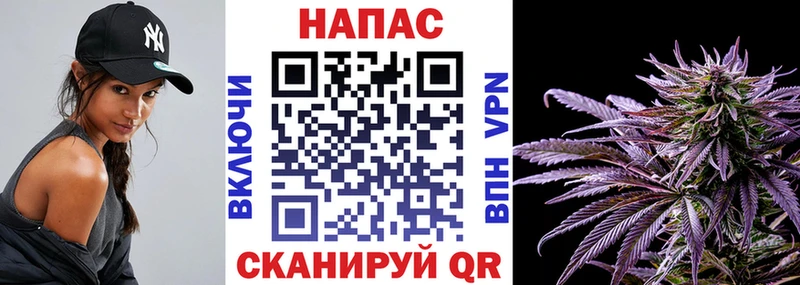Марихуана семена  купить   Гудермес 